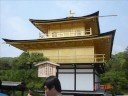 My Journey Through Japan