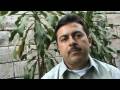Ver Video