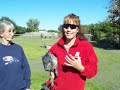 Worlds smallest Pigs \ Worlds smallest Pigs \