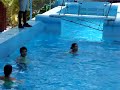 Nadando con los Delfines - Manati Park