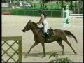 videos de CSO Amateur/Pro de Roanne-Vougy été 2006.