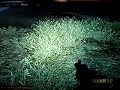 Resistance: Fall of Man Teddy Bear Glitch