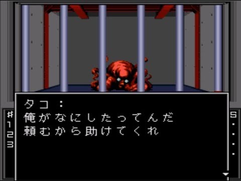 動画