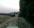 claas lexion 530 scarico mais