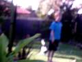 videos de random n funny sword fight