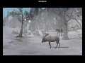 The Lord Of The Rings: BFME ll, The Rise Of The Witch-King