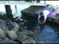 videos de catching bream by hand