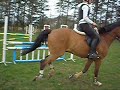 Osten tr�ning d. 21-04-07