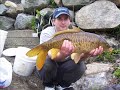 	      
     Carp fishing in New York