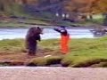 the bear fight