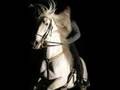 chevaux espagnol - belle andalouse