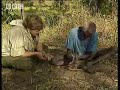 Aboriginal fire starting - Ray Mears Extreme Survival -