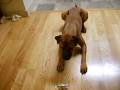 videos de S5001552.AVI