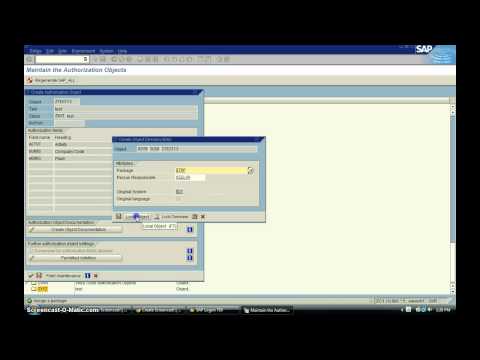 how to provide authorization object in sap