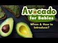 5 Months Old Baby Ate Avocado Side Effects