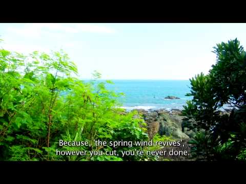 Video Kenting Youth Activity Centersta