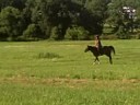 xc practice