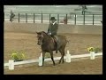 working-equitation-team - Dressur working-equitation-team - Dressur