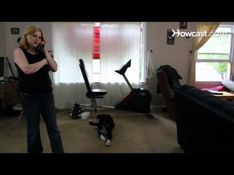 how to apply for rent assistance