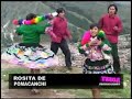 Sola - Rosita de Pomacanchis Cuzco