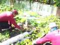 UNIT AMAL DPPWP BANTU BERSIH KUBUR 2
