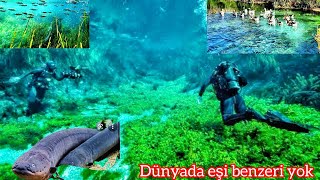 Akyaka Kadın Azmağı/Dünyada eşi benzeri olmay