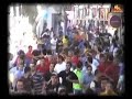bous als nostres pobles toros cerriles 2007
