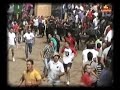 bous als nostres pobles toros cerriles 2007