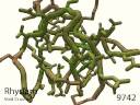 Evolution: 108: Tricky Challenge Puzzle