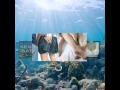 Video Sex gratis Video Sex gratis