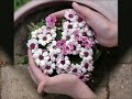 ♡Prayer for the Unity of Religions Abdulbaha ♡ Peace , Love,Unity ♡Monajat ♡ Bahai ♫ بهائی ♫
