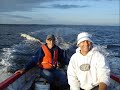 Newfoundland summer 2006