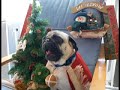 Formidabele kerstmis