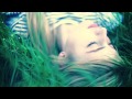 Black Fox (OFFICIAL VIDEO) 