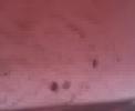 Pilze Pilze