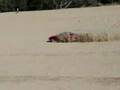 English Racing Sand Talon 2