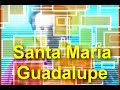 xochipitzahuatl