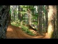 [MTB] Mountainbike Freeride Mix in HD