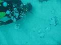 Jamica (Negril)