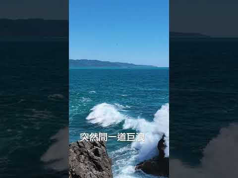 期待與龍相見~