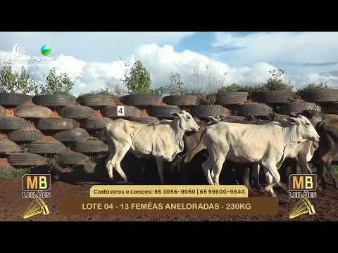 533� LEIL�O VIRTUAL MB LEIL�ES