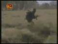 videos de Wanni Operation 07/01/2009 - Troops expand FDL at Muhamalai and Kilali