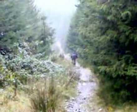 chain reaction cycles