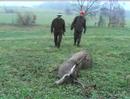 Hunting in Polen