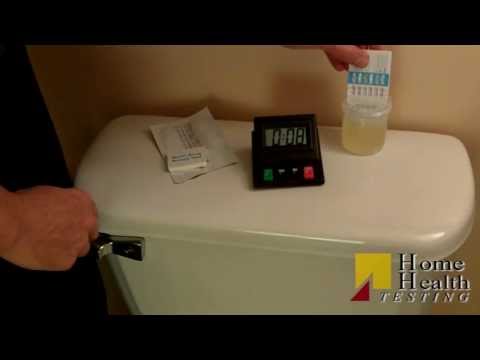 how to read urine test results