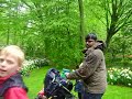 Tulip Garden by Sanjeev