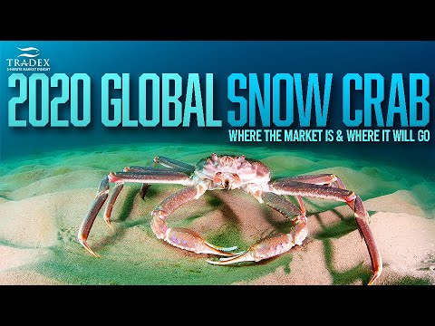 3MMI - Global Snow Crab Market Update - Alaska, Canada, Russia
