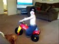 2 YEAR OLD STUNTER 2 YEAR OLD STUNTER