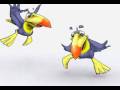 videos de CM toucan run2