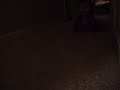 saul is getting better at crawling, and he loves playing peek-a-boo around the doorways. never mind that i sound like fran drescher...